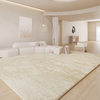 Minimalist Living Room Carpet Thickeneded Lamb Velvet Bedside Blanket Sofa Coffee Table Blanket Bay Window Bedroom Floor Mat