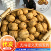 New Walnut Thin-Skinned Paper-Skinned Xinjiang Hand-Peeled Roasted Walnuts Cooked Herbal Flavor Bagged 500g Nut Walnut Wholesale