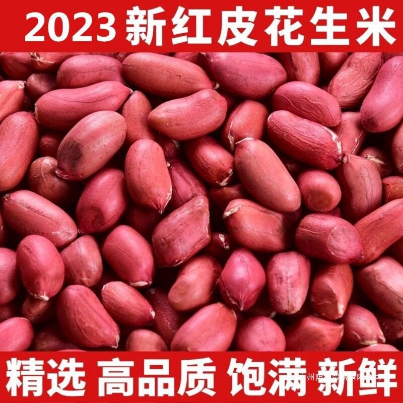 New Arrival of Peanuts with Red Skin, Unshelled Raw Four-Grain Raw Rice, Red-Skinned Red Peanuts, Farm Specialty Haihua Series