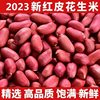 New Arrival of Peanuts with Red Skin, Unshelled Raw Four-Grain Raw Rice, Red-Skinned Red Peanuts, Farm Specialty Haihua Series