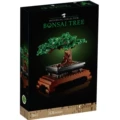 Bonsai Tree