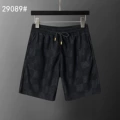 29089 black