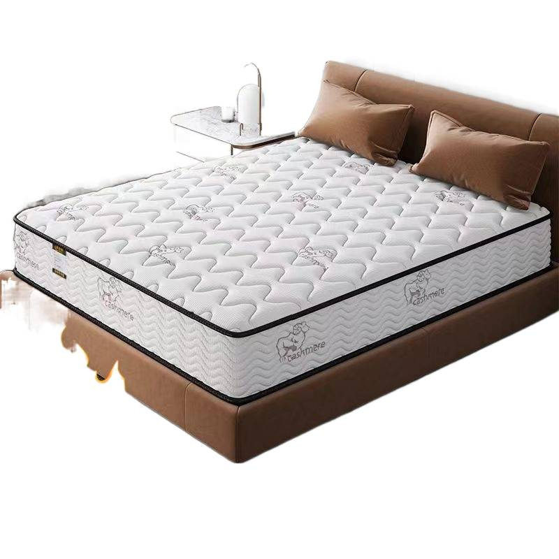 Simmons Mattress Economical 20cm Thick Household Spring Latex Coconut Palm Soft and Hard Dual-Use 2025 New Model