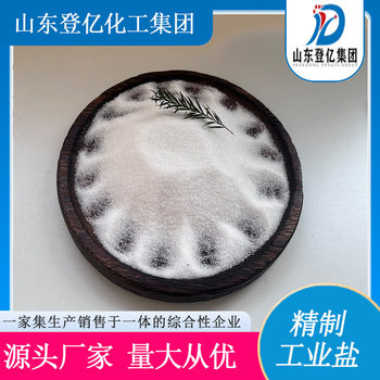 The Manufacturer Supplies Refined Industrial Salt in Stock. Industrial Grade Sodium Chloride Fine Salt Well Water Treatment Refined Industrial Salt