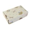 Ins Style Bear Airplane Box Packaging Card Gift Box High-Value Packaging Box Thickeneded Express Cute Flying Box