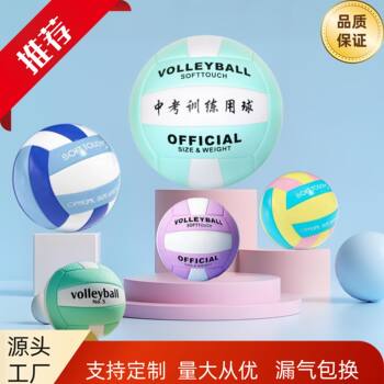 Volleyball High School Entrance Examination Special Student Competition Primary and Secondary School Kidsren No. 5 Standard No. 4 Primary School Student Volleyball
