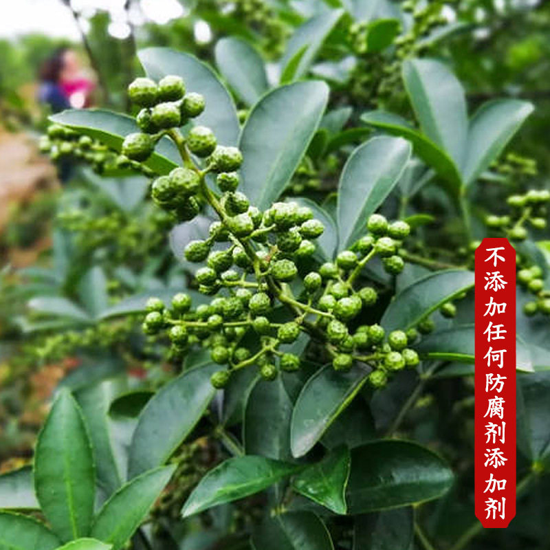 Fresh Sichuan Peppercorns, Green Pepper, Extra Spicy Peppercorns, Green Peppercorns with Free Shipping, Green Peppercorns, Green Pepper, Vine Pepper, Pepper Powder Wholesale