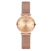 Cross-Border Brand Women's Watch with Japanese Movement, 32mm Small Dial, Fashionable and Versatile Design, Direct Sales from the Manufacturer