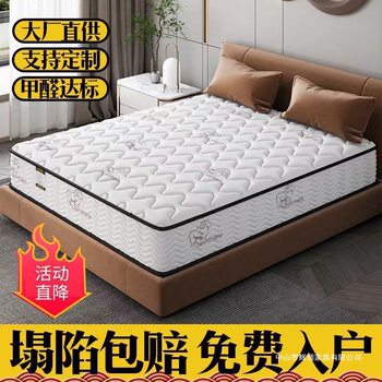 Simmons Mattress Economical 20cm Thick Household Spring Latex Coconut Palm Soft and Hard Dual-Use Silk Flower Whole Mesh Spring-Free