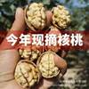 New product Aksu 185 paper Peel walnut large wholesale delivery 500g hand-peeled large thin peel original flavor raw walnut