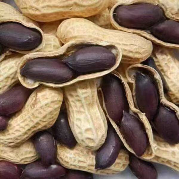 Black Peanuts from Yunnan, Large Shelled Particles, Selenium-Rich, Pu'Er Farm-Produced New Goods, Naturally Sun-Dried Black Peanuts