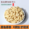 Pine Nuts 500g Small Package Cooked Raw 25 Years New Northeast Wild Pine Nut Meat Original Large Particles Ready-To-Eat Pine Nuts