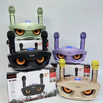 Foreign trade SD-306S wireless bluetooth speaker microphone karaoke treasure family KTV outdoor TV speaker subwoofer