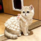 Домашнее животное-кошка, летнее милое платье с бантом, защищающее от линьки, кукольный синий кот, золотой градиентный котенок, сказочный стиль