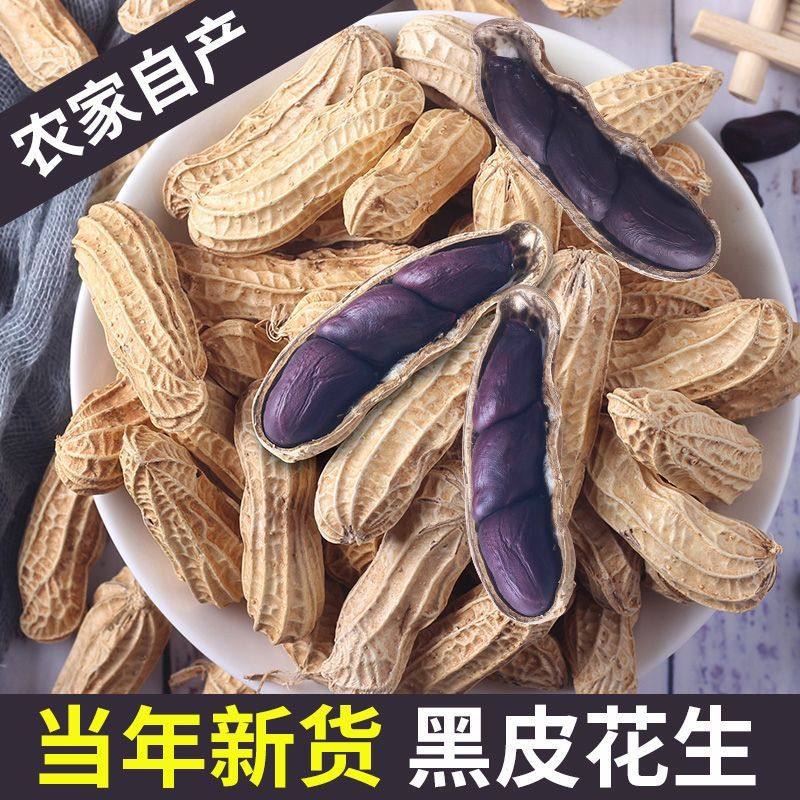 Wholesale New Arrival Original Black Peanuts in Shell Original Black Peanuts Bulk Yunnan Selenium-Rich Black Peanuts Dropshipping