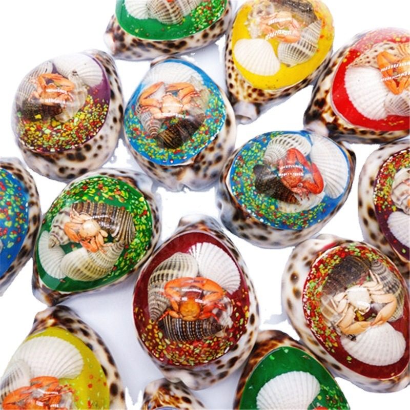 Factory Wholesale Big Amber Conch Shell Crafts Home Decoration Decorative Aquarium Fish Tank Landscape Landscaping