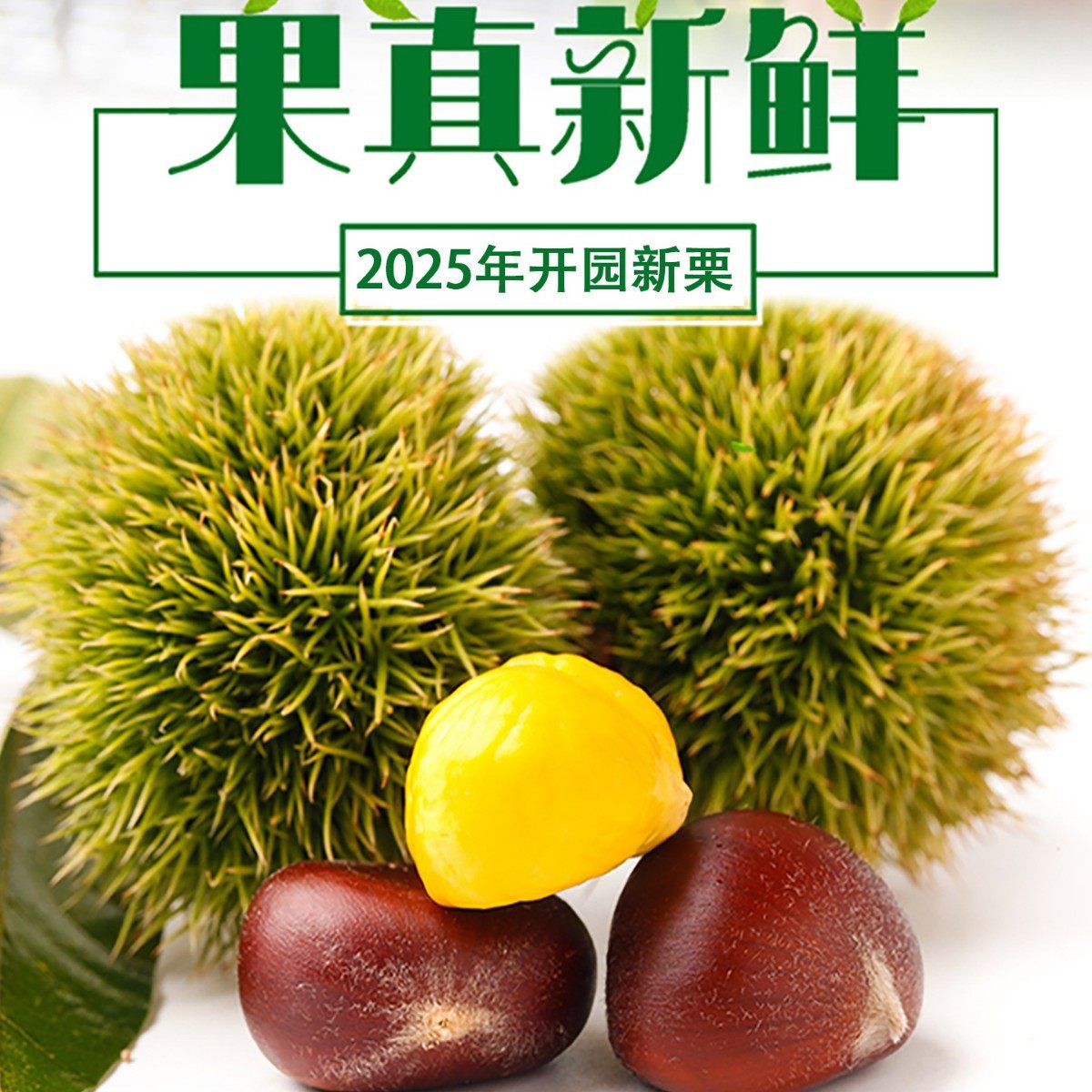 Fresh Chestnuts from Yimeng Mountain, Yellow-Fleshed Oil Chestnuts, New Arrivals in 2025, Seasonal Wild Chestnuts from Deep Mountains for Pregnant Women