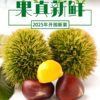 Fresh Chestnuts from Yimeng Mountain, Yellow-Fleshed Oil Chestnuts, New Arrivals in 2025, Seasonal Wild Chestnuts from Deep Mountains for Pregnant Women