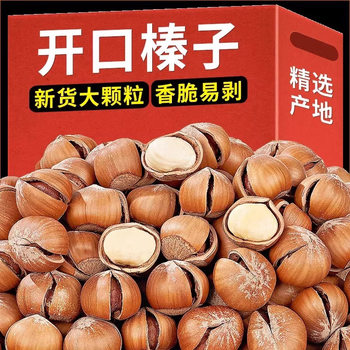 New Arrival Roasted Large Hazelnuts Thin-Skinned Original Nuts Northeast Specialty Hazelnuts Large Capsules Dried Fruit Snacks New Year Goods Wholesale