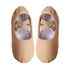 Children's Dance Shoes, Women's Adult Camel Soft-Soled Practice Shoes Manufacturer Wholesale Chinese Dance Ethnic Dance Body Dance Shoes