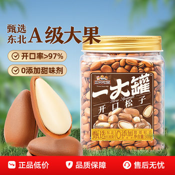 Three Squirrels_ Mass-Produced Northeastern Pine Nuts 500g Shelled Tiger Skin Pine Nuts Canned Large Nut Snacks for Pregnant Women