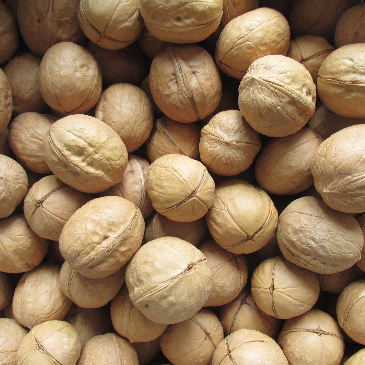 Authentic Xinjiang thin peel walnut paper Peel large walnut Aksu city thin peel walnut original flavor raw food wholesale and retail