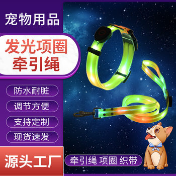 Spot Led Luminous Collar Pet Nylon Pvc Dog Leash Dog Leash Charging Luminous Anti-Loss Pet Collar