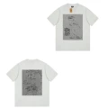 089 gray [dinosaur angel]