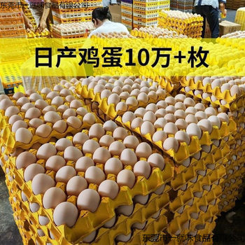 Fresh Farm-Raised Free-Range Eggs Wholesale Bulk Sale from Sichuan in February