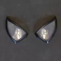Toby [left and right eyes]