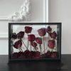 Wooden Photo Frame Specimen Frame Double-Sided Transparent Three-Dimensional Hollow Dried Flower Display Stand Creative DIY Animal and Plant Display Frame