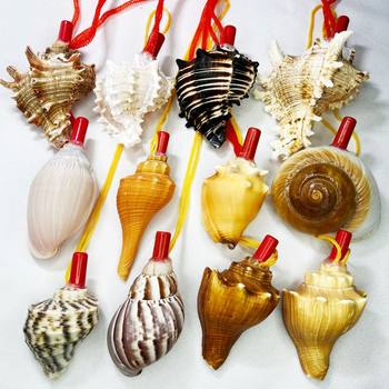 Natural Conch Horns Can Be Blown to Make a Whistle, Extra-Large Shell Whistle, Children's Toy Whistle, Small Conch That Can Be Blown