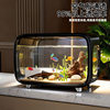 High-Definition Aquarium Household Fish Tank Turtle Tank Transparent Tank Manufacturer Direct Supply Living Room Balcony Landscaping Small Ecological Tank