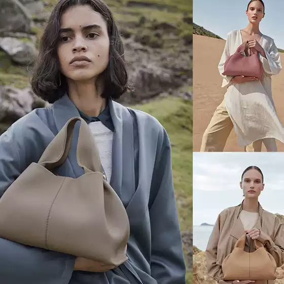POLENE Top Layer Cowhide Dumpling Bag French Niche Single Shoulder Crossbody Bag Handbag Women's Niche Simple Cloud Bag