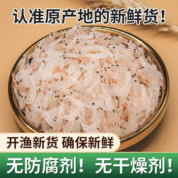 Sun-Dried Light-Dried Dried Shrimps, Non-Special Grade, Non-Calcium Supplement, No Added Salt, Baby Shrimps, Ready-To-Eat Dried Seafood, High Quality