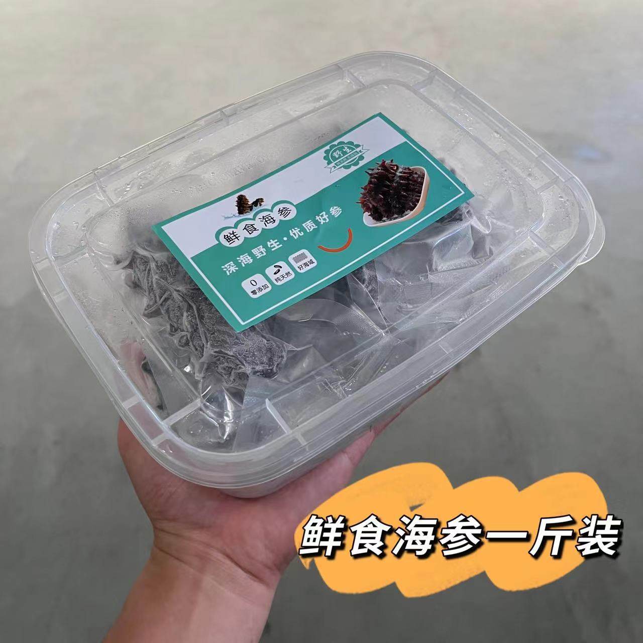 Guofude Fresh Sea Cucumber Ready-To-Eat Source Factory Wholesale Large Stock 500g Sea Cucumber