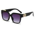C2 - Black Frame with Gradient Gray Lenses