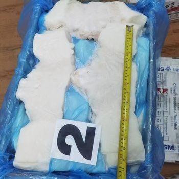 Silver Cod Chin Direct Sales Supplier Commercial Silver Cod Whole Box Fish Neck Meat Wholesale Frozen Seafood Batch Fish