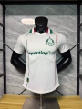 26-27 palmeiras away game