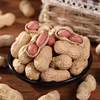 [Net Re-Processed Peanuts]Original Flavor Roasted Peanuts in Iron Pan, Shelled Raw Peanuts, Skin-On Peanuts, Freshly Roasted Peanuts