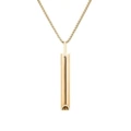 Golden hat head whistle