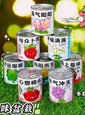 儿童励志种植小盆栽创意手工DIY植物头盆栽 小学生种植盲盒礼品