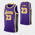 Lakers No. 23 purple