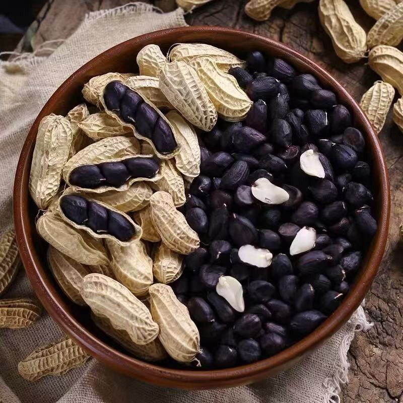 Yunnan Black Peanuts with Shells Are Grown by Farmers and Sun-Dried by Manufacturers. Sweet Purple-Skinned Selenium-Rich Black-Skinned Peanuts Are Shipped by Manufacturers