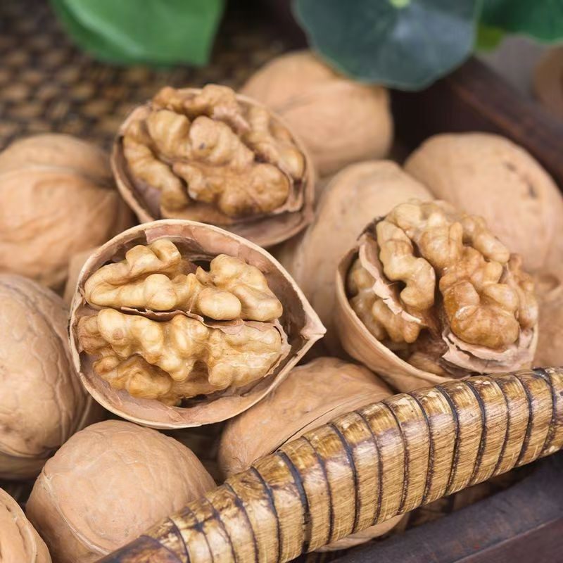 [New Walnut] Thin-Skinned Raw Walnuts, Thin-Shelled Xinjiang Sun-Dried Raw Walnuts, Dried Fruits and Nuts, Original Snacks