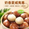 [Freshly Picked from Yunnan] New Arrival Macadamia Nut Cream Flavor Bag 500g Roasted Nuts New Year Goods Dried Fruit