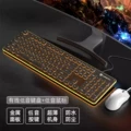 L1 wired black-orange light + t6 wired white mouse