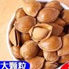 Wholesale Small White Apricot Kernels, Almond Kernels, Small Ginkgo Nuts, Casual Snacks, Roasted Seeds, Original Flavor Nuts, Bulk Hand-Peeled Thin Shells
