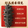 Organic National Standard Dalian Dried Sea Cucumber, Dried Sea Cucumber, Dried Sea Cucumber with Spines, Dry Goods for Catering Supply, Non-Ready-To-Eat Sea Cucumber, Sc Factory Wholesale