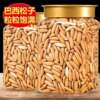 Brazilian Pine Nuts 2024 New Arrival Special Grade Extra Large Hand Peeled Pine Nuts Snacks for Pregnant Women Nuts Northeast